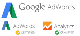 Google Sertifikalı Uzman